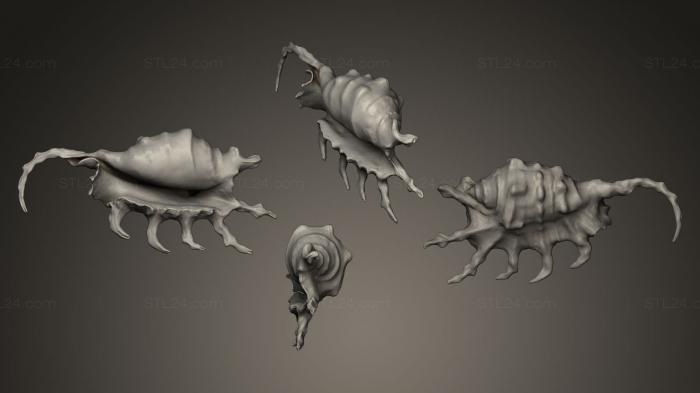 Miscellaneous figurines and statues (Tail Shell, STKR_0424) 3D models for cnc